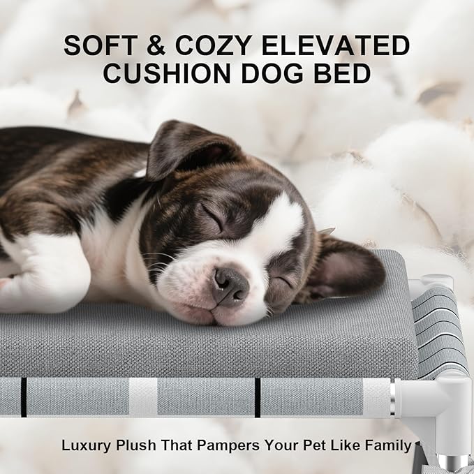 Elevated Raised Outdoor Dog Bed - Cooling Lifted Outside Dogs Bed with Cushion Mat Dog Hammock Bed with Stainless Steel Frame Portable Puppy Pet Bed for Indoor & Outdoor (S: 20" x 20" x 8")