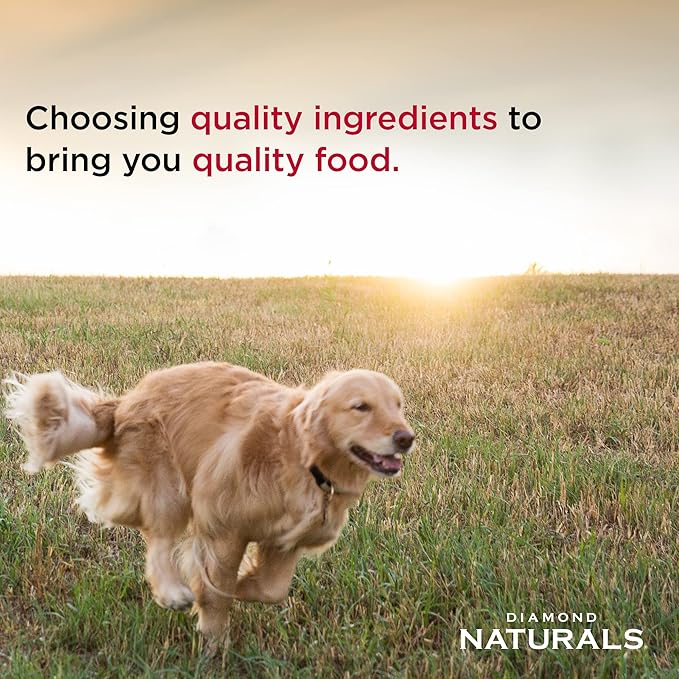 Diamond Naturals Beef Dinner Can Dog 12/13.2oz