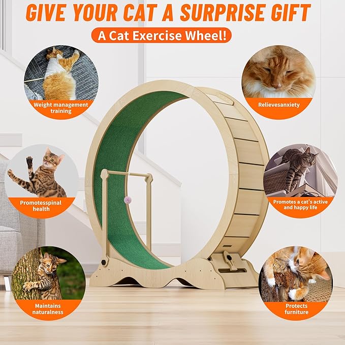 Exercise Wheel for Indoor Cats, 48" Large Cat Running Wheel with Super Wide 15" Tread, Quiet Spinner Hamster Wheel, Supports Up to 45Lbs