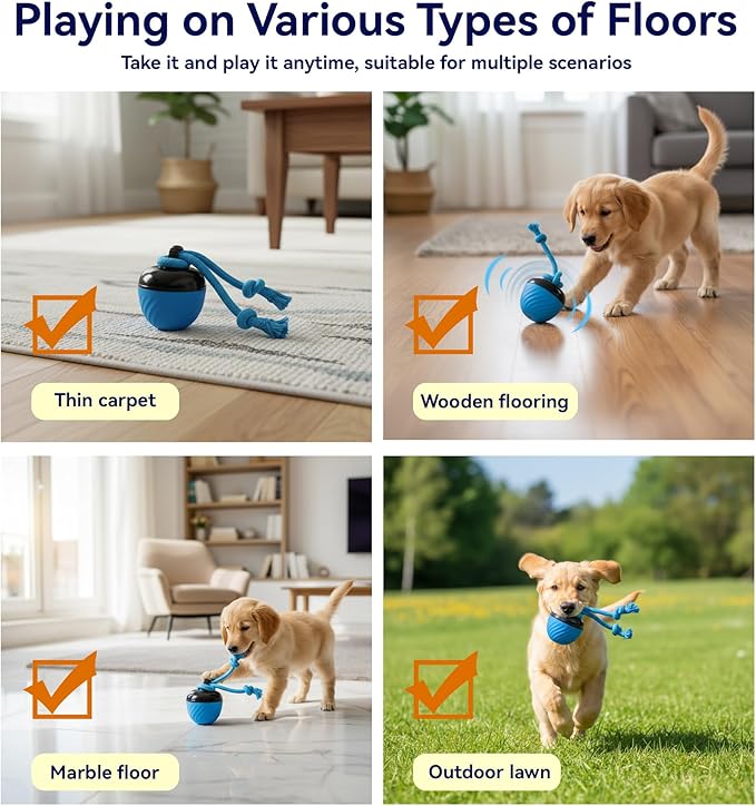 Interactive Dog Toys with Motion Activated, Squeaky Dog Toy Active Rolling Ball for Puppy and Medium Dogs, USB Rechargeable, Wicked Ball