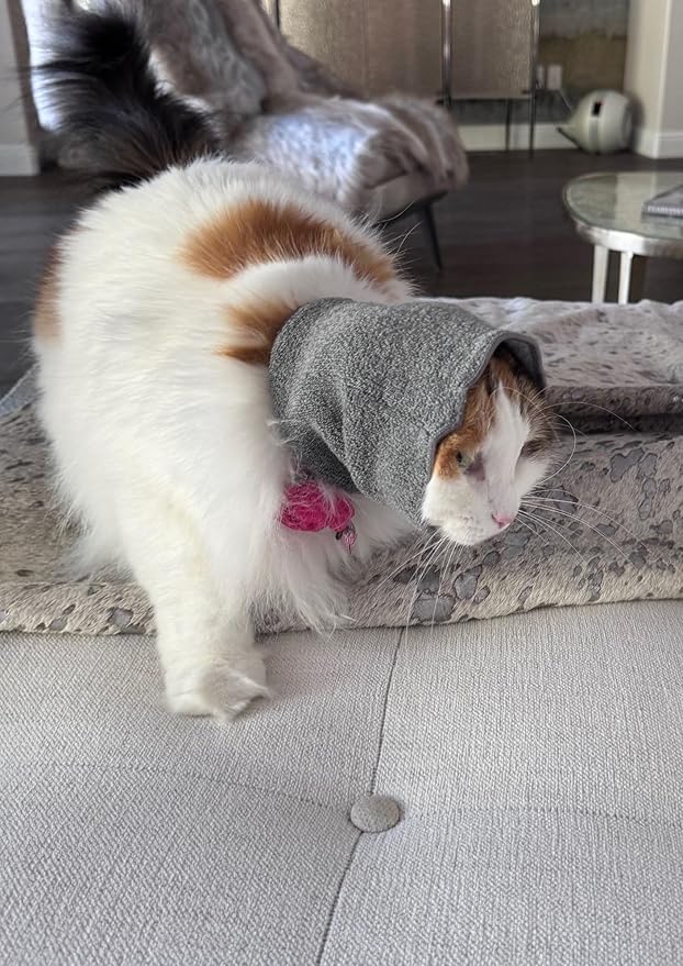 Pet Hoodz for Cats, Anxiety, Grooming, Ear Muffs, Cat Ear Protection, Calming, Ear Compression, Pet Hoodie, Cat Hoodie, Soft-Expandable Fabric for Cats, (Blue, MED)
