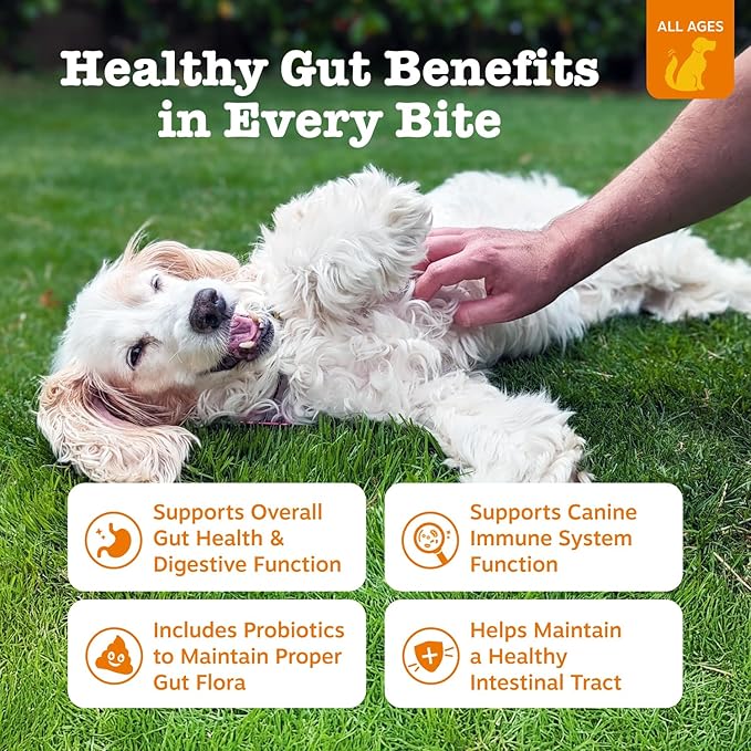 Zesty Paws Probiotics for Dogs - Probiotics for Gut Flora, Digestive Health, Occasional Diarrhea & Bowel Support - Clinically Studied DE111 - Functional Dog Supplement Soft Chew for Pet Immune System