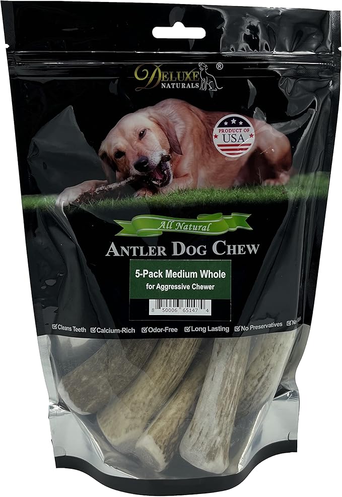 5-Pack Medium Whole Elk Antler Dog Chews, 5.5-8+ Inches, Long-Lasting Natural Dog Chews for Aggressive Chewers, Teeth Cleaning Antler Treats for Dogs Under 40 lbs