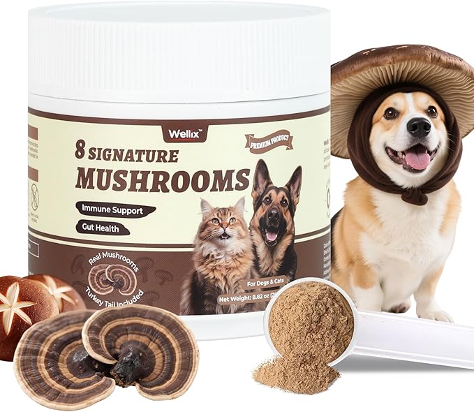 Wellix Mushroom Powder Supplements for Dogs & Cats - Lumps & Bumps Dog Supplement - 8 Types of Mushrooms, Turkey Tail Mushroom for Dogs for Immune, Digestive, Kidney Support - Dog Food Toppers