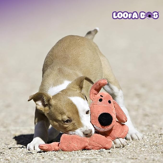 Multipet Original Loofa Dog Plush Toy - Squeaky Toy for All Dogs - Extra Soft Plush - Stuffed Animal Dog Toys for Playing (1 Count, 6”, Random Color Surprise)