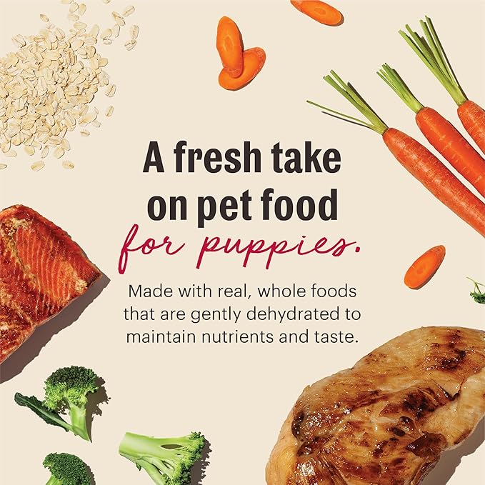 The Honest Kitchen Human Grade Wholemade Whole Grain Chicken & Salmon Dehydrated Puppy Dog Food, 7lb Bag (Makes 28lbs)