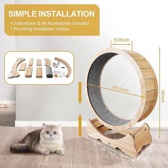 Cat Wheel, 48" XL Large Cats Exercise Running Wheel, Cat Treadmill for Indoor Cats