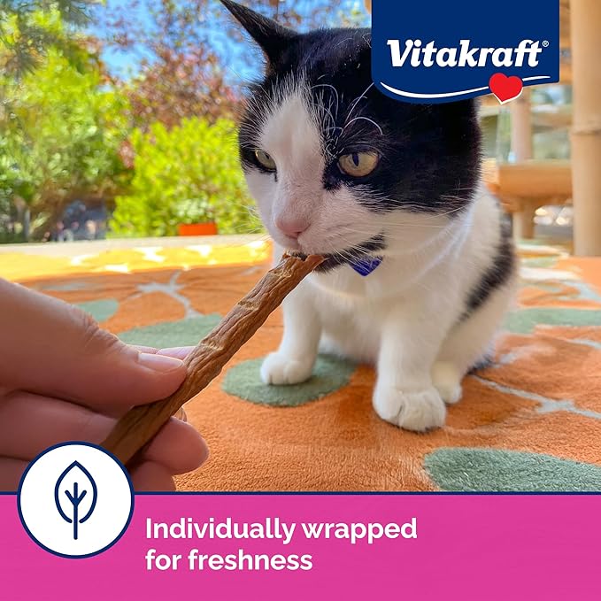 Vitakraft Cat PURRSTICKS Salmon Multi Pack 60ct