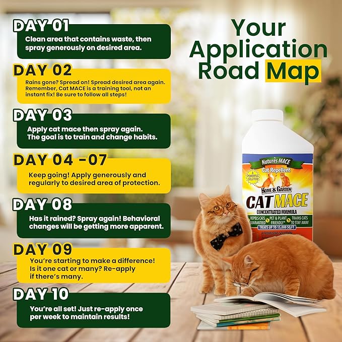 Nature's Mace Cat Mace Cat Repellent, Outdoor & Indoor, All Season Training Tool, Chewing, Digging, Marking, Keep Cats Off of Lawn, Garden, Pee Deterrent, Pets, Plants, 40 oz Spray & Concentrate