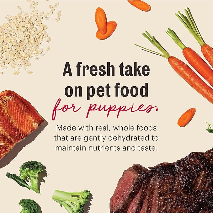 The Honest Kitchen Human Grade Wholemade™ Whole Grain Beef & Salmon Dehydrated Puppy Dog Food, 7lb Bag (Makes 28lbs)