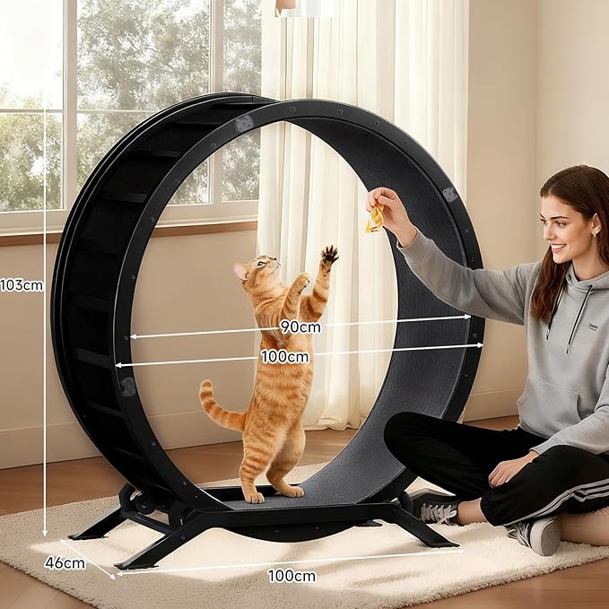 GTRACING Cat Wheels, 40" Diameter, Large Cat Exercise Wheel for Indoor Cats cat Treadmill Metal with Detachable Carpet & Teaser/Stickers, Ultra-Quiet Scroll Wheel with Latch, Safe and Stable, Dark