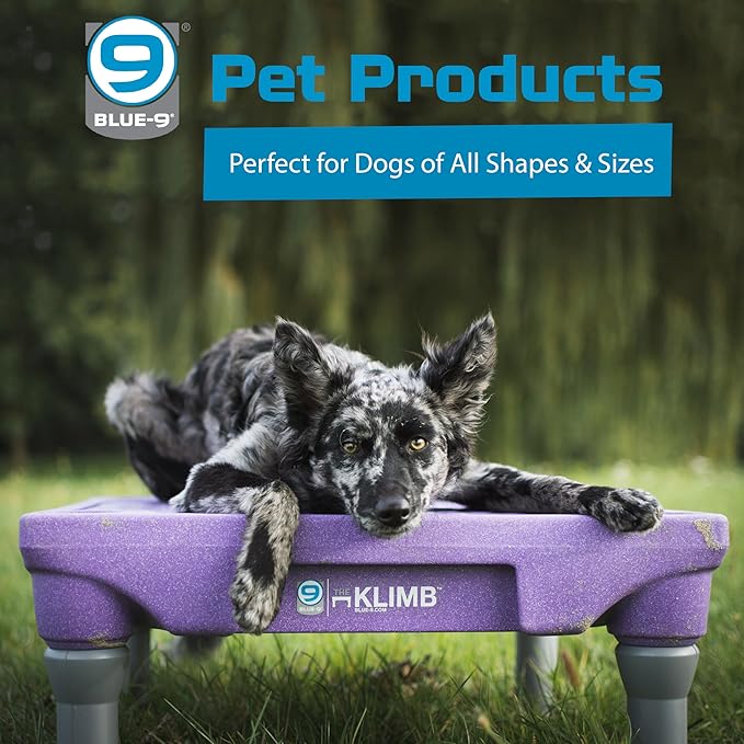 Blue-9 Happy Dog Starter Bundle with KLIMB Dog Training Platform & Traction Mat and Inspire Training Treat Pouch & Training Treats, Purple
