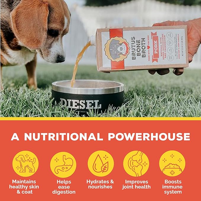 Brutus Bone Broth for Dogs | All Natural | Made in USA | Glucosamine & Chondroitin for Healthy Joints | Human Grade Ingredients | Hydrating Food Topper, Gravy & Treat (Pork, 2-Pack)