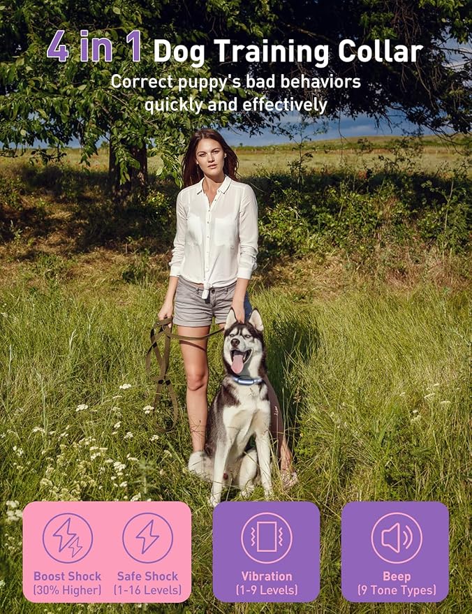 Dog Shock Collar 2 Dogs (10-120lbs) - 3300Ft Dog Training Collar with Beep, Vibration & Shock, IPX7 Waterproof Rechargeable Dog Shock Collars for Small Medium Large Dogs, Security Lock, Purple