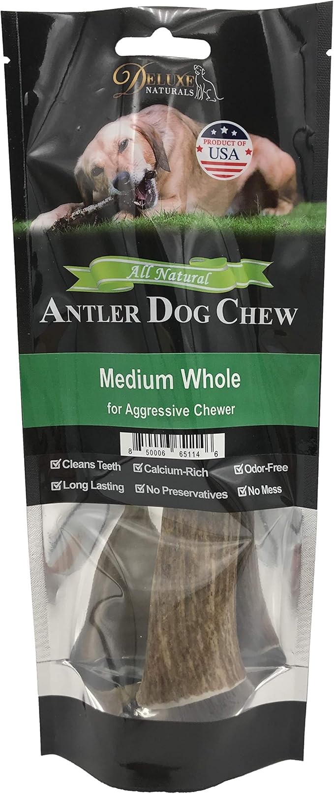 1-Pack Medium Whole Elk Antler Dog Chews (5.5 to 8+ in) – Long Lasting Natural Dog Bones for Moderate to Aggressive Chewers Under 40 lbs – Antlers for Dogs, Teeth Cleaning, No Rawhide