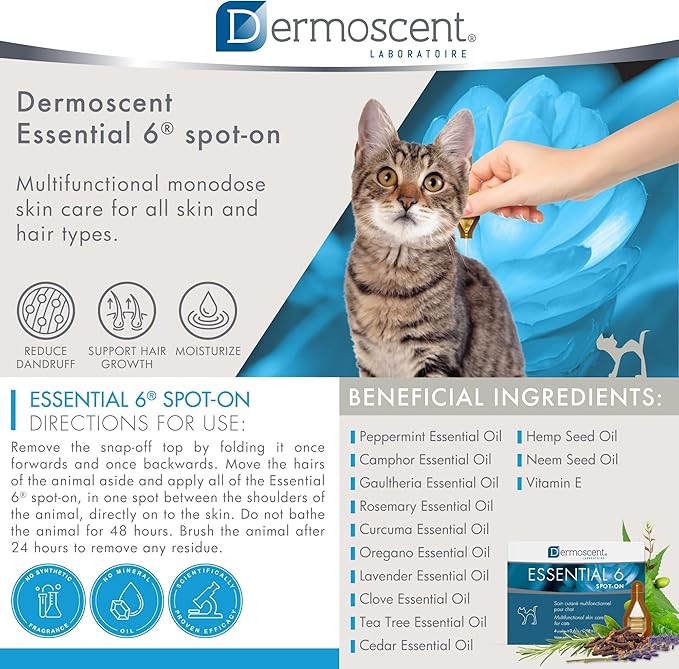 Bayer Dermoscent Essential 6 Spot On Skin Care for Cats Pet Itch Remedies