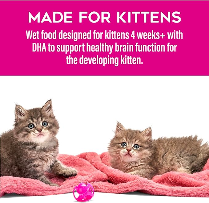 Tiki Cat Baby Pate, Wet Cat Food, Chicken, Duck & Duck Liver, 2.4 oz. Can (12 Count)