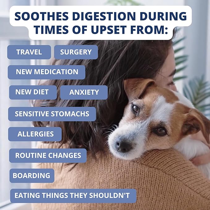 Under the Weather Bland Diet for Dogs | Easy to Digest for Sick Dogs |Always Be Ready| Contains Electrolytes - All Natural Freeze Dried 100% Human Grade Meats| 2 Pack- Rice Turkey & Sweet Potato - 6oz