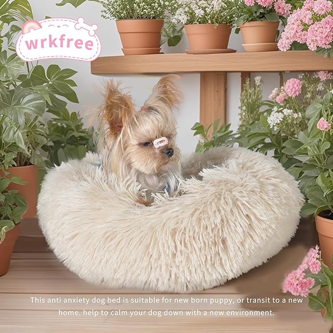 Tiny Dog Bed Extra Small Washable 15 inches Beige Donut Soft Small Dog Bed,Calming Anti Anxiety Round Fits up to 5 lbs Warm Comfort Pets Beds for Puppy Dogs Indoor