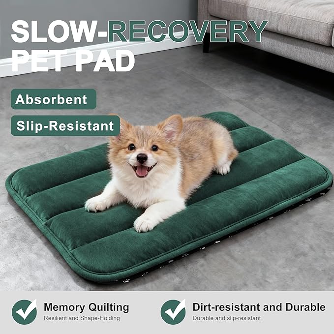 Dog Bed Mat, Reversible Dog Crate Pad with Washable Kennel Mat and Soft Foam, Flat Pet Bed for Dogs & Cats, for Crates Carriers & Travel (Green, 23" L*14" W*1.5" Th)