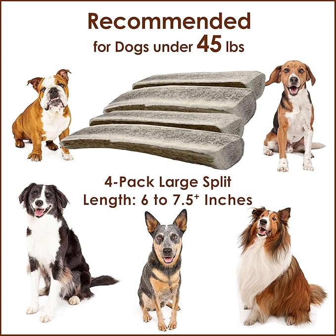 4-Pack Large Split Elk Antler Dog Chews (6 to 7.5+ in) – Natural Long Lasting Chews for Small Medium Dogs Under 45 lbs, Gentle Light Chewers, Dental Health Treats
