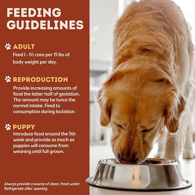 Only Natural Pet PowerStew Turkey & Duck Feast Wet Dog Food – Legume and Grain-Free with Savory Broth & Vegetables, Balanced for All Breeds and Ages, 12.5 oz Cans, Pack of 6 (T)