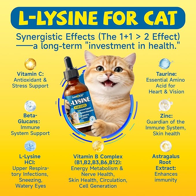 L-Lysine Supplement for Cats Immune Support, Cats Lysine Drops for Feline Respiratory, Sneezing, Runny Nose, Eye Function, Natural Strengthen Defenses-Natural Chicken Flavor, 2FL oz