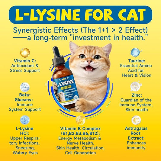 L-Lysine Supplement for Cats Immune Support, Cats Lysine Drops for Feline Respiratory, Sneezing, Runny Nose, Eye Function, Natural Strengthen Defenses-Natural Chicken Flavor, 2FL oz