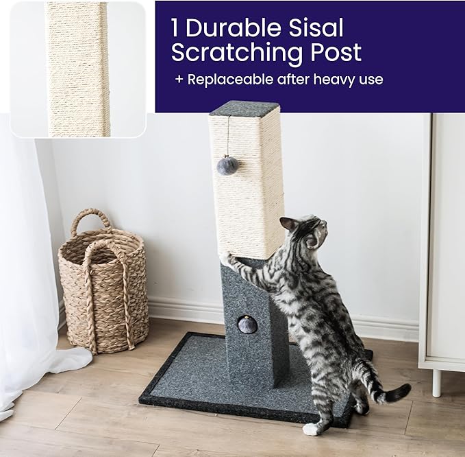 Catry Cat Scratching Post - Minimalist Style Design of Cat Tree Scratch Post with Kitten Playful Toy Allure, Good for Pets to Practice Their Claws, Multiple Size Choices
