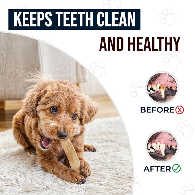 Coffee Wood Dog Chew Toys Size Large, 100% Natural Coffeewood Toys for Dogs, Dental Health & Reduces Boredom, Dog Wood Toys Supports Mental Stimulation & Training
