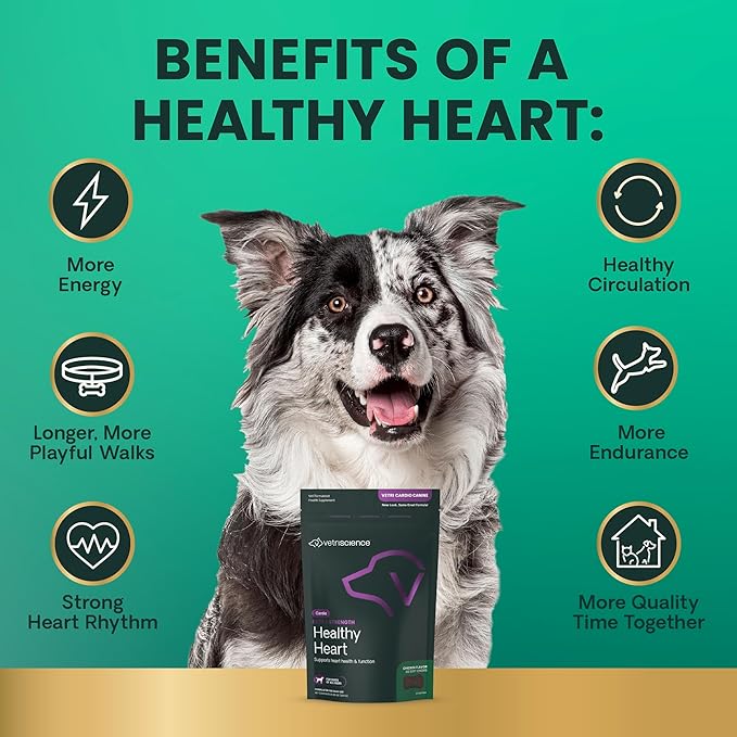 VetriScience Extra Strength Healthy Heart Chews, Vetri Cardio Supplement for Dogs, Heart Support Supplement with Taurine, Carnitine, CoQ10, Hawthorn and Berberine, Chicken, 60 Count