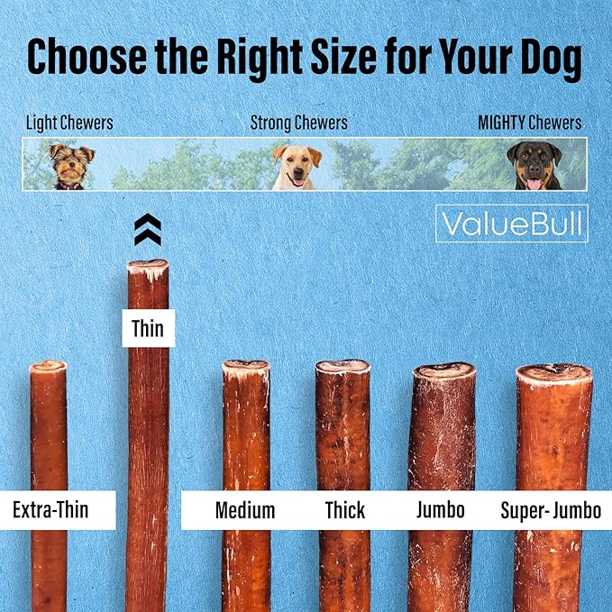 ValueBull Bully Sticks for Small Dogs, Thin 6 Inch, 100 Count Bulk Pack - All Natural, Grass Fed, Single Ingredient, Long Lasting Dog Treats