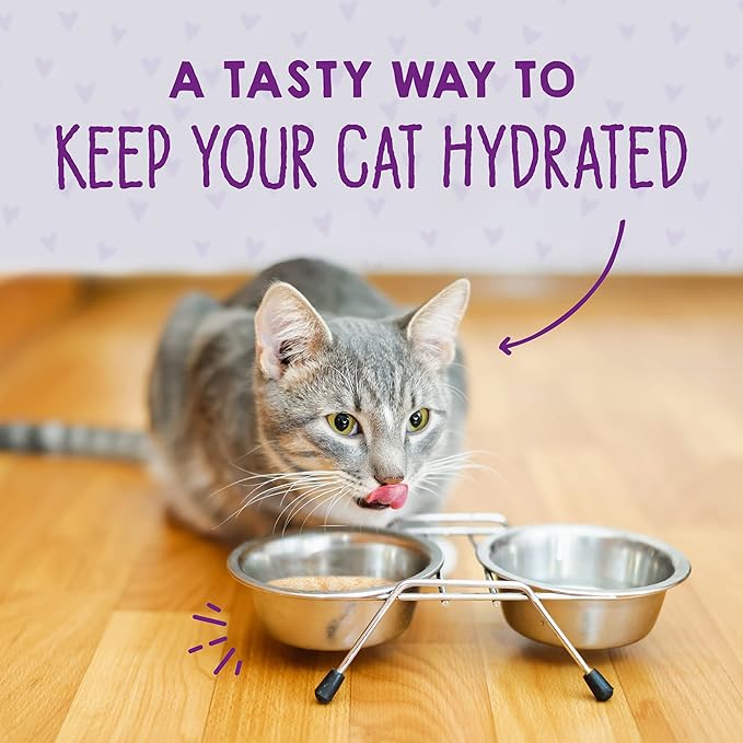 Stella & Chewy's Carnivore Cravings Purrfect Paté - Premium Grain-Free Wet Cat Food - Salmon, Tuna & Mackerel Recipe - High Protein with Bone Broth - Perfect for Picky Eaters - 5.2oz Cans (24 Pack)