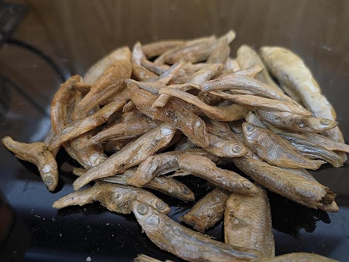 Minnows - 4 oz Freeze Dried Minnows for Cats & Dogs - 100% Natural Premium Cat Treat, Dog Treat (4 oz)