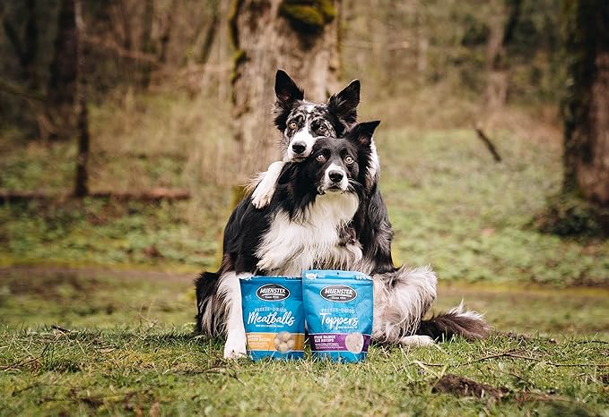 Muenster Freeze Dried Elk Powder Dog Food Topper or Mixer (8oz) - Grain Free