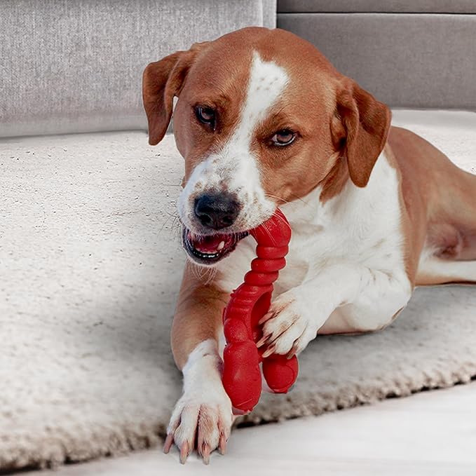 Nylabone Lobster Power Chew Toy for Dogs, Dog Toys for Aggressive Chewers, Filet Mignon Flavor, X-Large Dogs - 50+ lbs, 1 Count