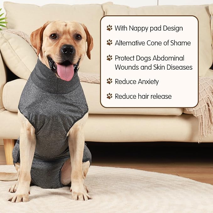Polyester Dog Surgeries Bodysuit Ensuring and Comfortable During and Post Recovery Clothing Pet Supply Dog Recovery Jumpsuit