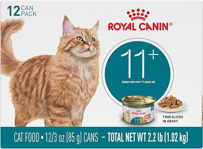 Royal Canin Feline Health Nutrition Aging 11+ Wet Cat Food for Seniors, Thin Slices in Gravy for Cats Over 11 Years, Supports Optimal Health & Vitality, 3 oz can, case of 12