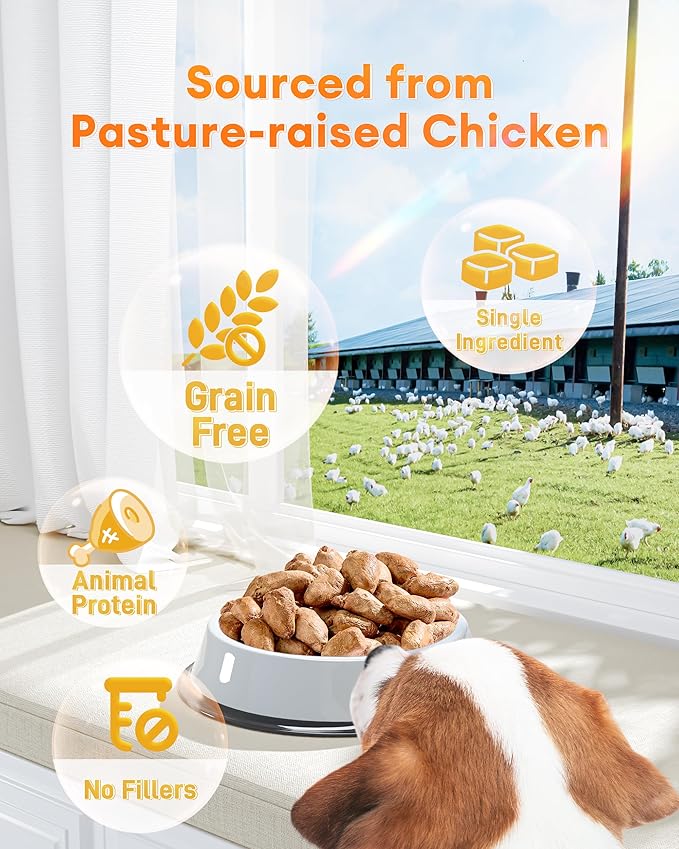 Freeze-Dried Chicken Hearts Cat & Dog Treats, 17.63 oz (1.1LB) — High Protein, Single Ingredient, Grain Free, No Additives or Preservatives, Sealed Box