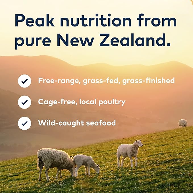 ZIWI Peak Wet Cat Food – All Natural, High Protein, Grain Free, Limited Ingredient, with Superfoods (Mackerel, Case of 24, 3oz Cans)