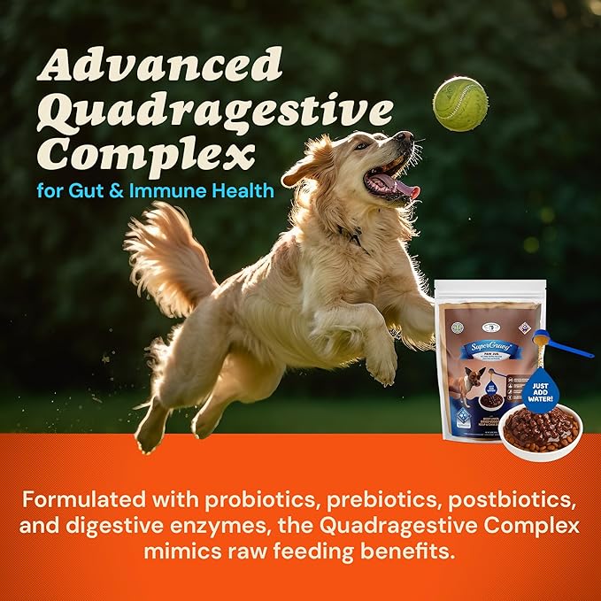 CLEAR CONSCIENCE PET® Paw Jus™ SuperGravy® – Natural Dog Food Gravy Topper – Hydration Broth Food Mix – Human Grade – Kibble Seasoning for Picky Eaters – Gluten & Grain Free (13.5 Ounce (Pack of 1))