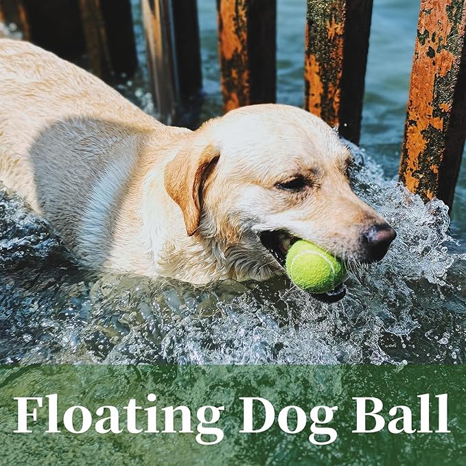 2 inch Dog Training Tennis Balls, 16 Pack Pet Mini Tennis Balls for Small Medium Dogs Fetching Training Exercise