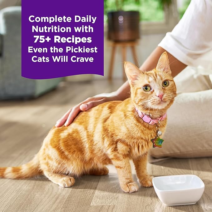 Wellness Complete Health Grilled, Adult Wet Cat Food, Natural, Protein-Rich, Grain-Free, Canned, 3 Ounce, 12 Pack, (Turkey and Turkey Liver Dinner Recipe)