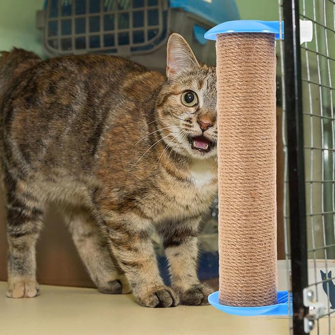 Happyyami Small Cat Scratching Post Replacement Pole with Jute Rope, 30cm Blue Sisal Scratcher Accessory for Indoor Cats and Kitten