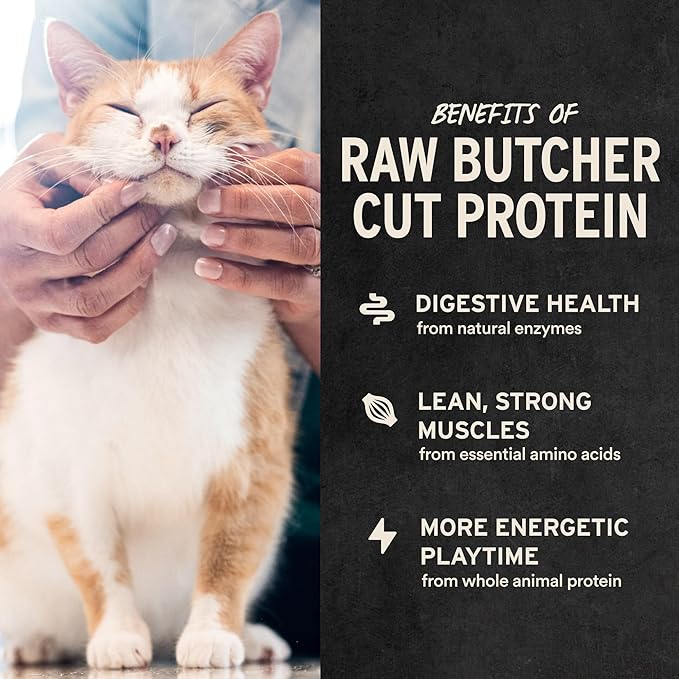 Vital Essentials Freeze Dried Cat Treats | Rabbit Bites, Single Protein | Premium Quality | Grain Free, Crunchy Cat Treats, 0.9 oz Bag