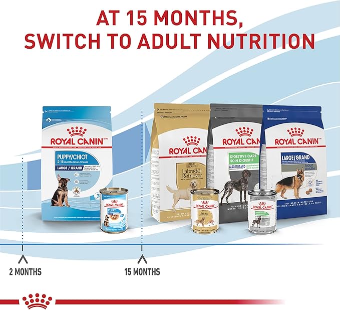 Royal Canin Size Health Nutrition Large PuppyThin Slices in Gravy Dog Food, 13 oz (Pack of 12)