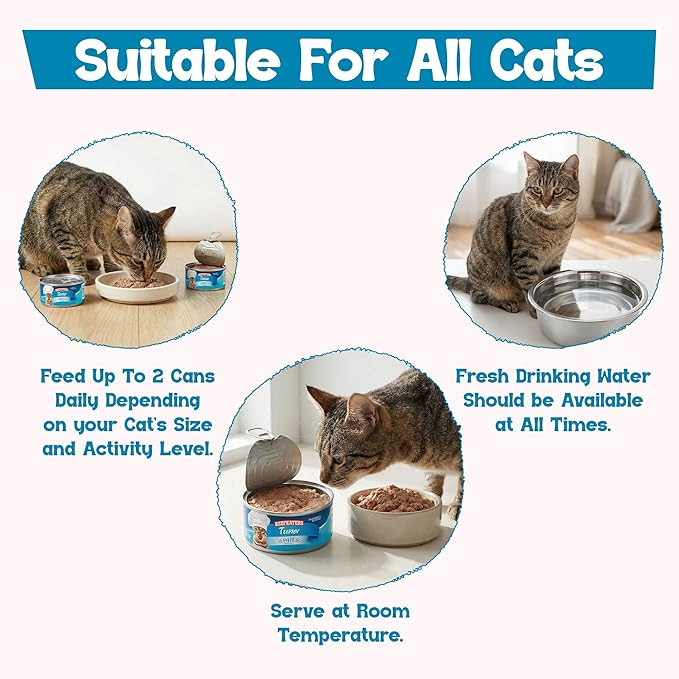 Beefeaters Tuna Pate Cat Treats Wet Cat Food 5.5oz (24-Pack) | Adult Wet Food with Taurine, Premium Catfood Wet Food, No Artificial Additives, Balanced Nutrition | Supports Immune System & Vision