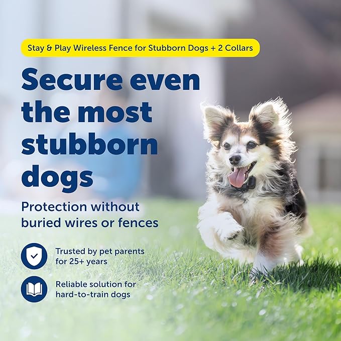 PetSafe Stay & Play 2-Dog Wireless Fence for Stubborn Dogs - America's Safest Wireless Pet Containment System - No Dig Electric Fence - Circular Boundary - Secure 3/4-Acre Yard - for Dogs 5lb+