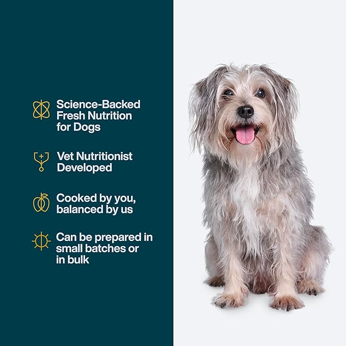 Just Food for Dogs Nutrient Blend, Vitamins and Supplements for Homemade Dog Food, Beef and Russet Potato, DIY Fresh Pet Meals and Toppers, Human Grade Quality, Dog Multivitamin Additive, 4.55oz