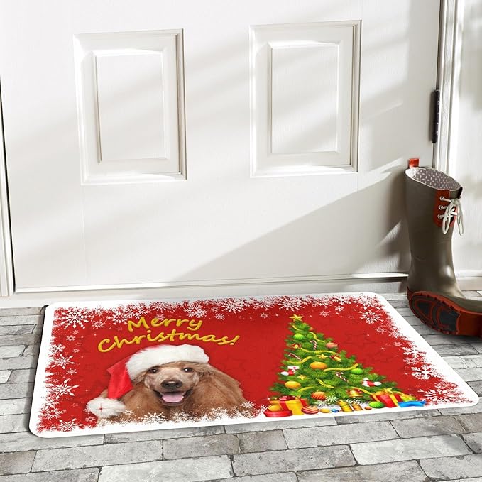 Personalized Christmas Dog Door Mats - Custom Winter Pet Cat Doormat with Photo - Rubber Door Mats, for Pet Lover